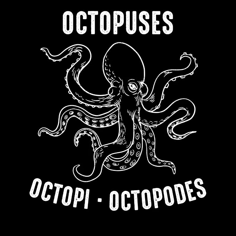 Octopus Octopus Cuttlefish Animal