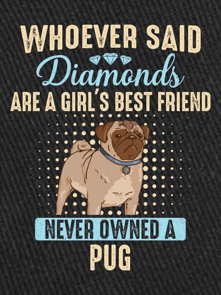 Pug Pug Dog