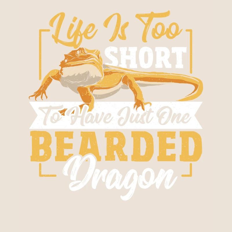 Bearded Dragon Iguana Chameleon Dwarf Bar