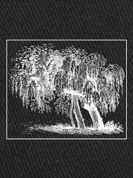 Arbre