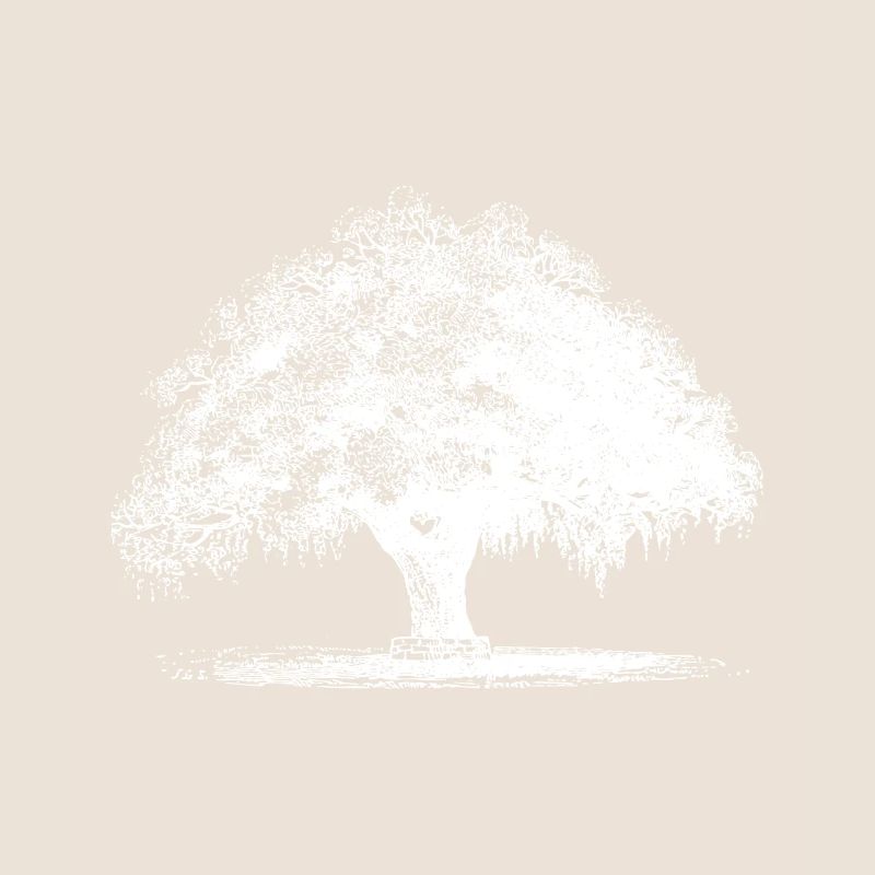 Baum