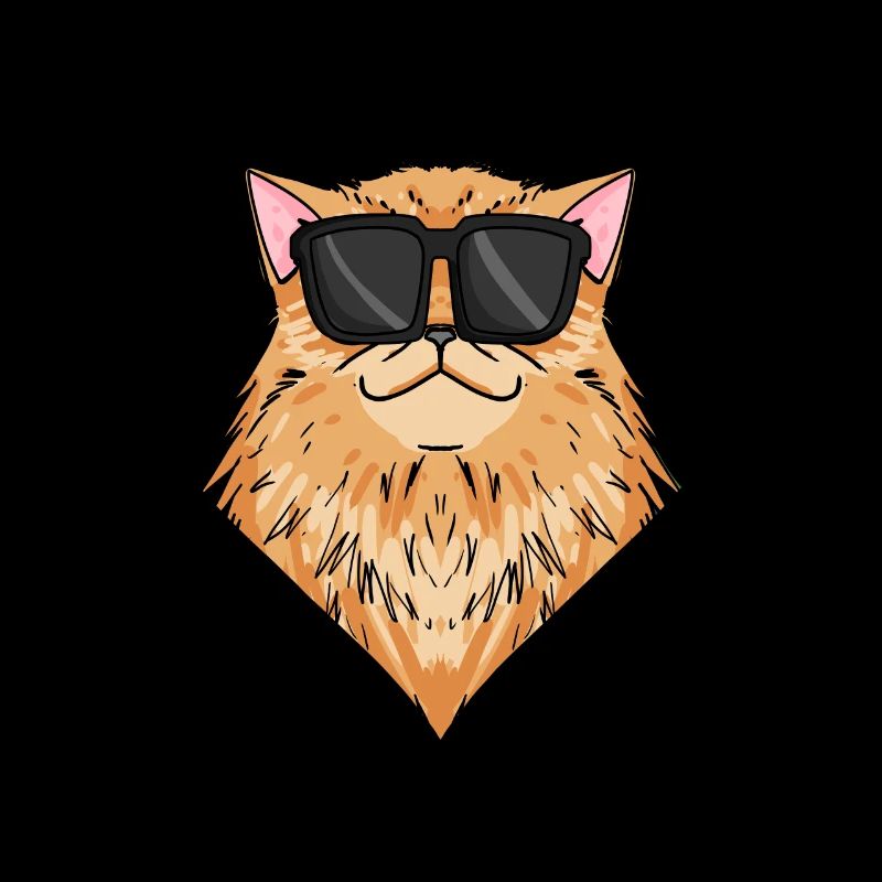 Cool Chat Persan Chat Race Chat