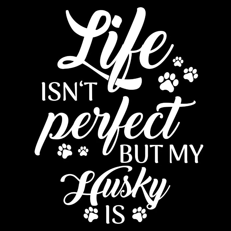 Chien Husky Sibérien