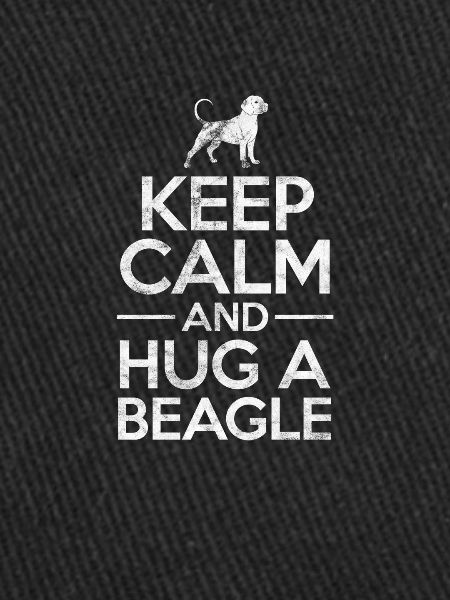 Beagle