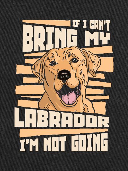 Chien Labrador