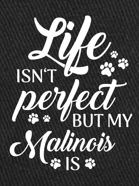 Chien Malinois