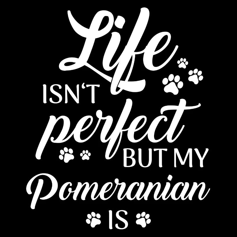 Pomeranian Hund Hundehalter