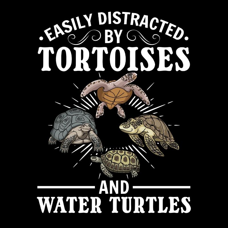 Easily used by turtles and