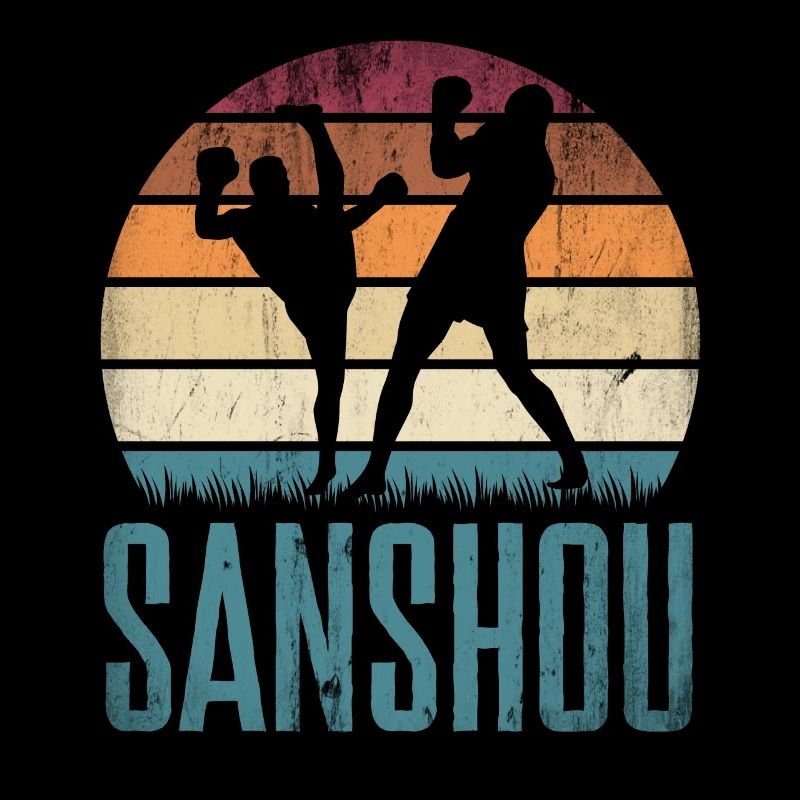 Arts martiaux chinois Sanshou Boxe chinoise