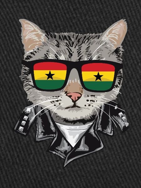 Cat Gala Flag Sunglasses