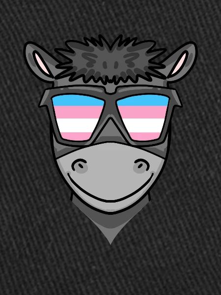 Transgender Transsexual Donkey Gift