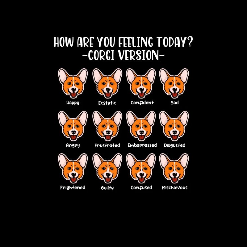Corgi