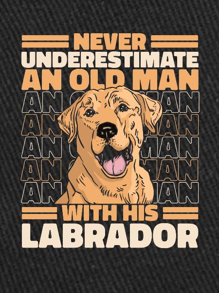Chien Labrador
