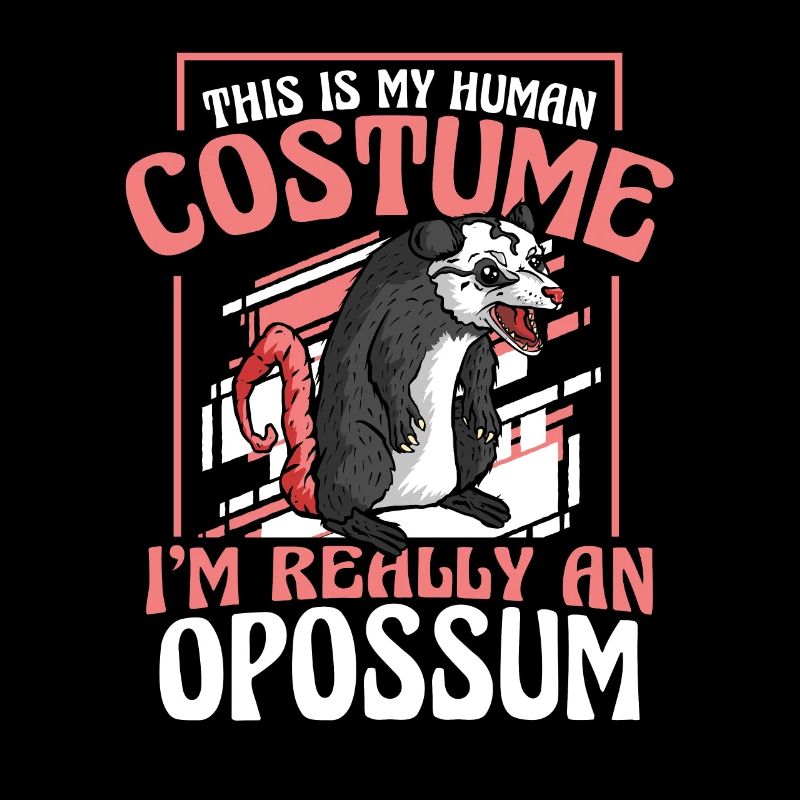 Opossum Possum Animal