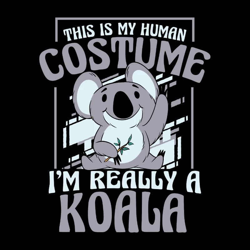 Koala Koalas Koala Ours Animal