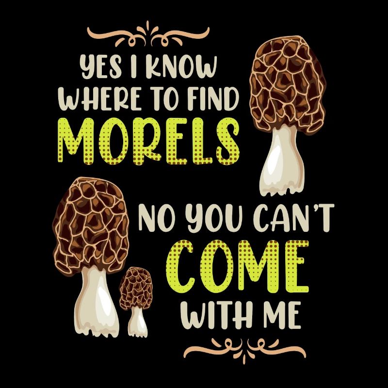 I know the best morel places