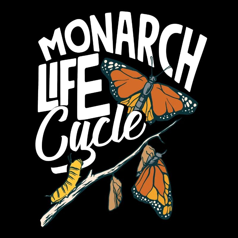 Entomologie Asclépiade Monarque Papillon Cycle de vie