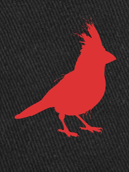 Bird Northern Cardinal