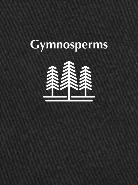Gymnosperms