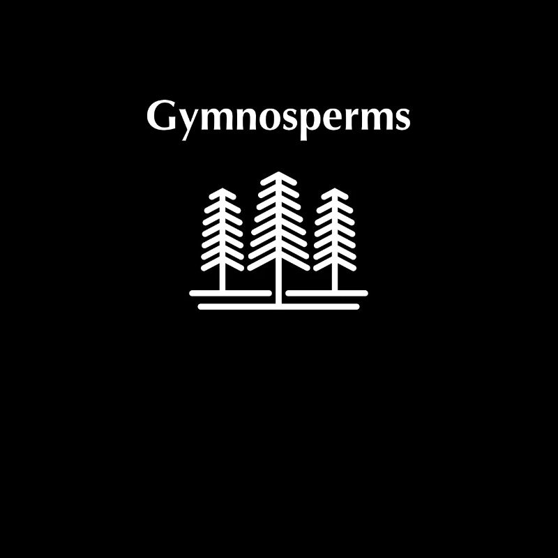Gymnospermen