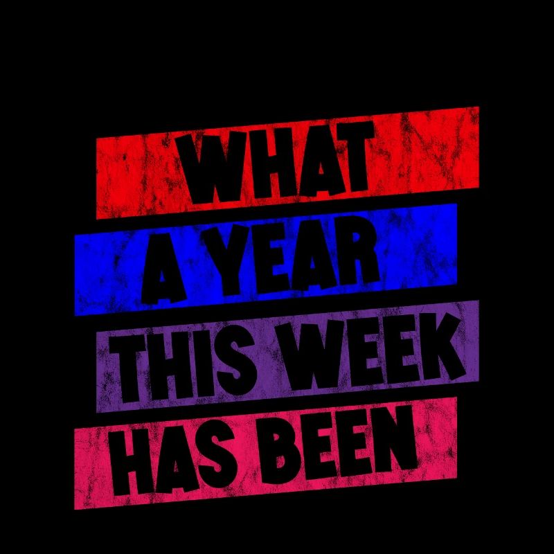 What A Year This Week Has Been 3