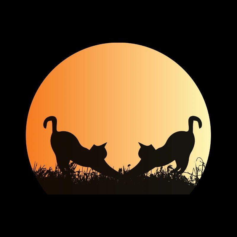 Katze - Ich bin nicht sozial unbeholfen, ich mag es einfach wirklich