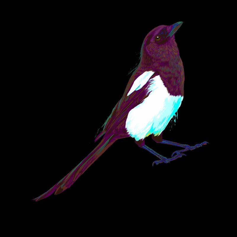 Pie d’oiseau Splash colorée