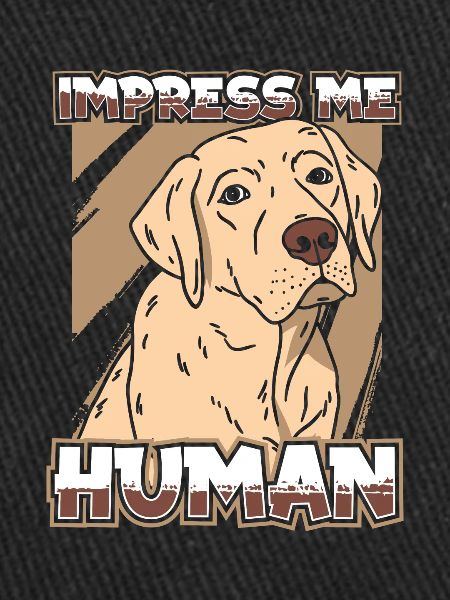 Chien Labrador