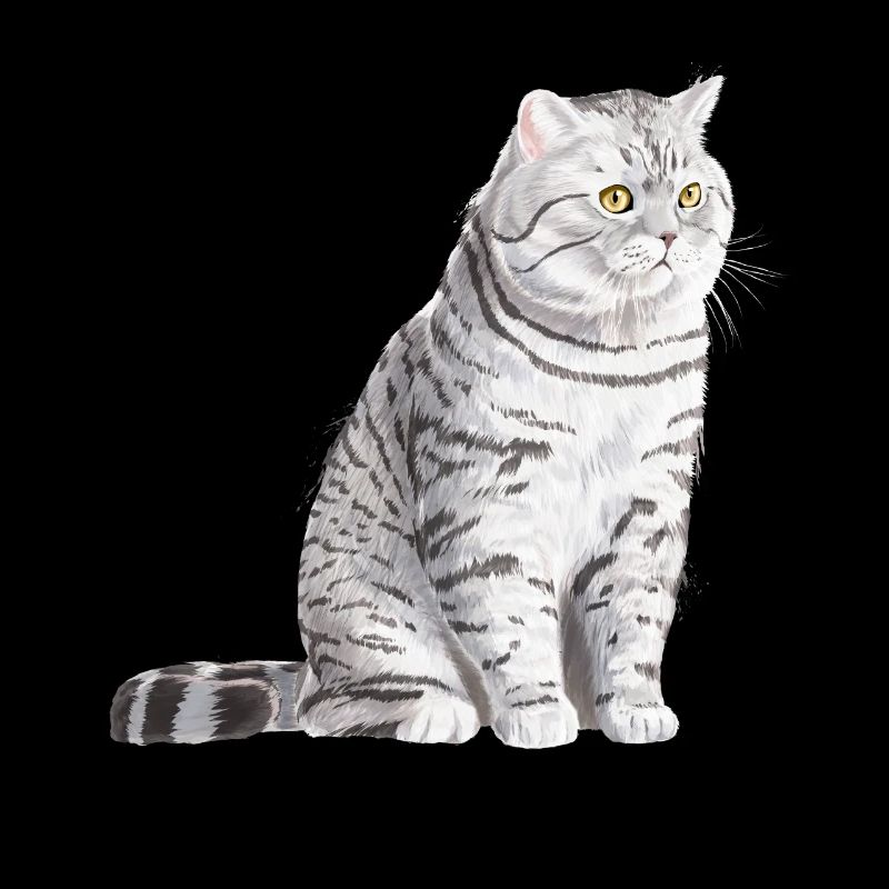 Sitzende Spotted Britisch Kurzhaar Katze