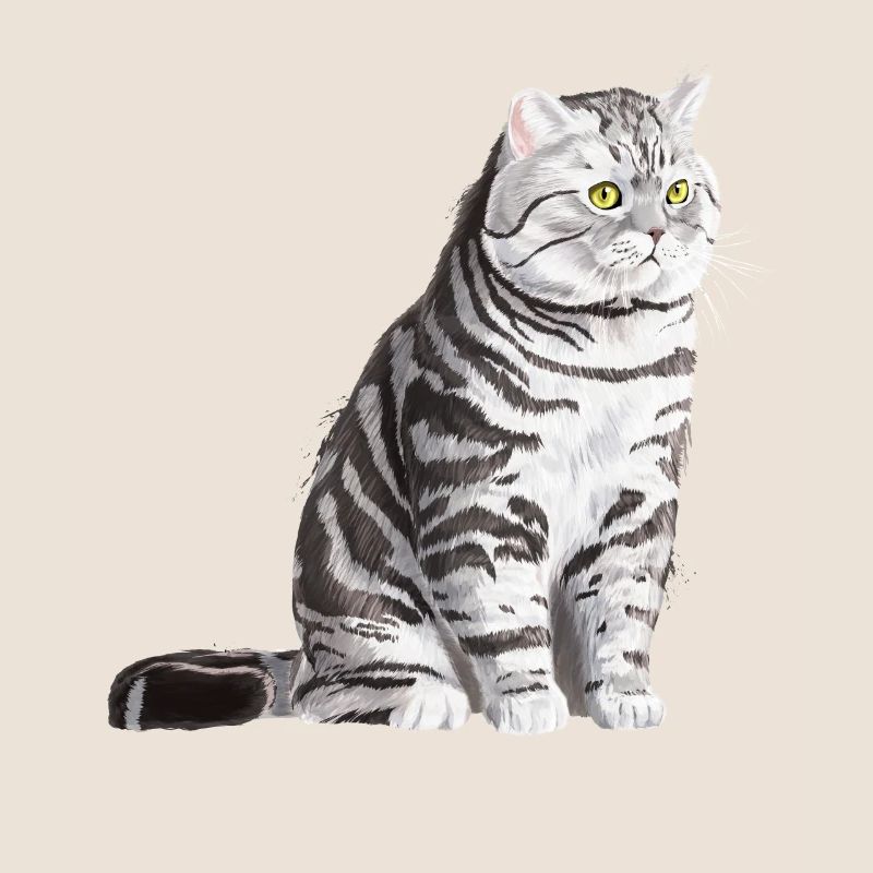 Sitzende Tabby Britisch Kurzhaar Katze