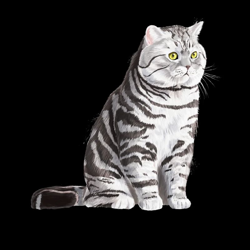 Sitzende Tabby Britisch Kurzhaar Katze