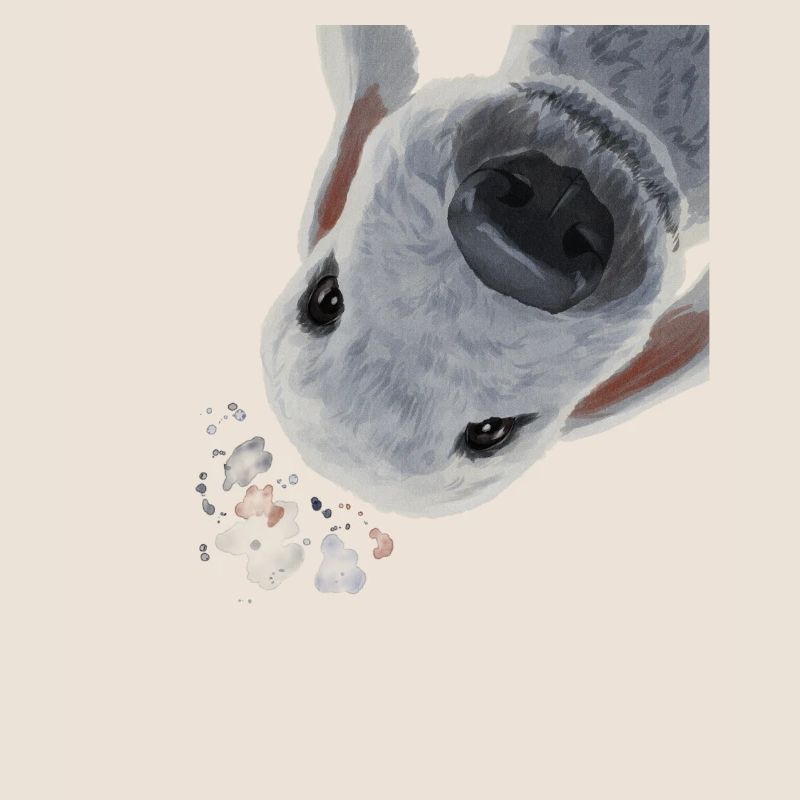Neugieriger Hund Bedlington Terrier