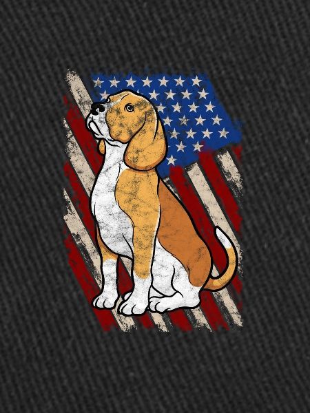 Beagle États-Unis