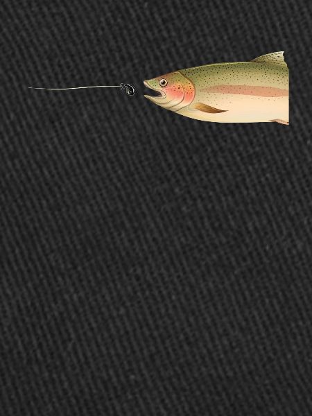 Trout
