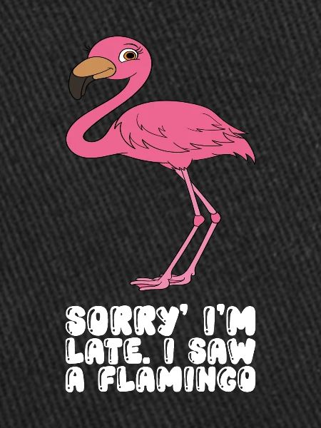 Funny flamingo graphics