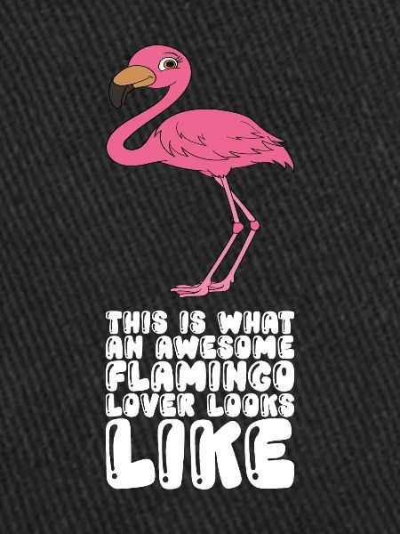 Funny flamingo graphics