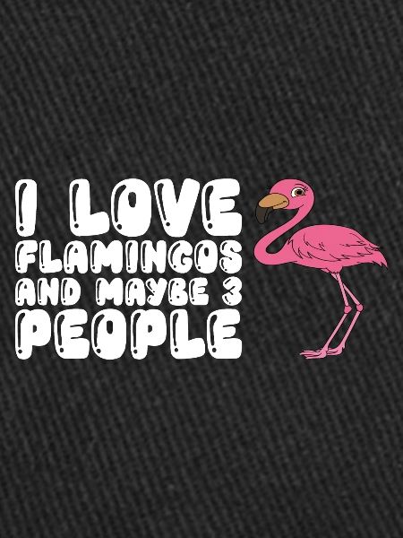 Funny flamingo graphics