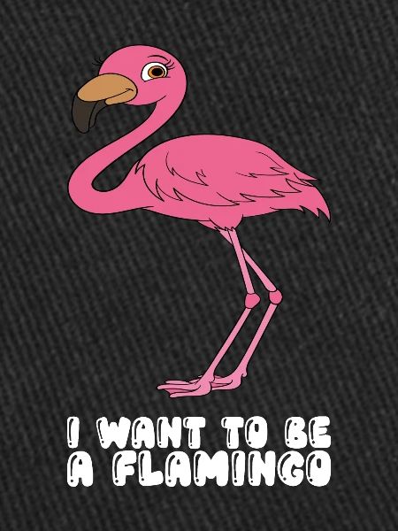 Funny flamingo graphics