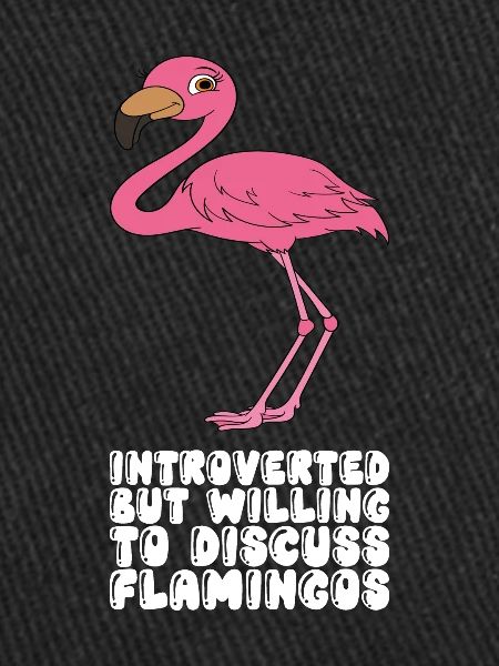 Funny flamingo graphics