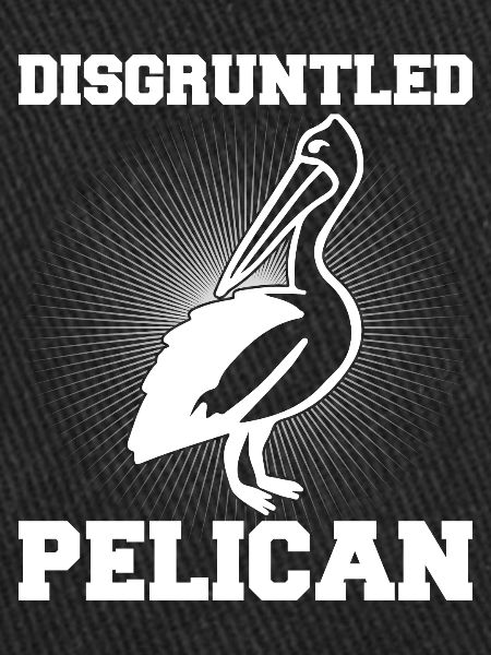 Pelican Pelicans Oiseaux Oiseaux Oiseaux