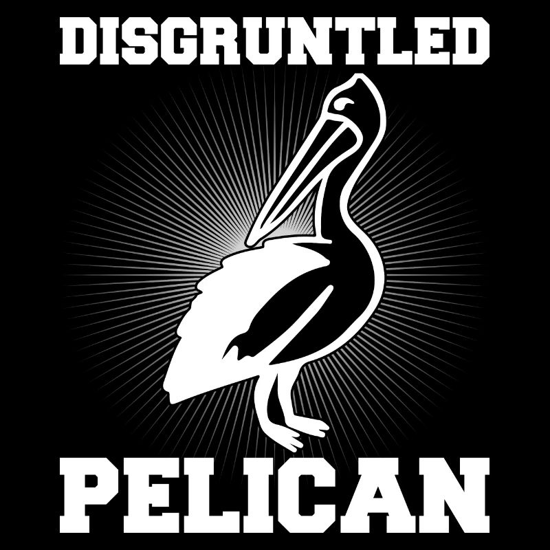 Pelican Pelicans Oiseaux Oiseaux Oiseaux