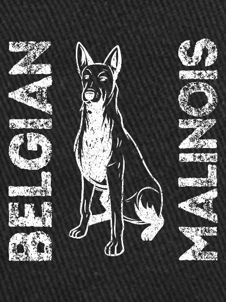 Belgian Malinois Hunde
