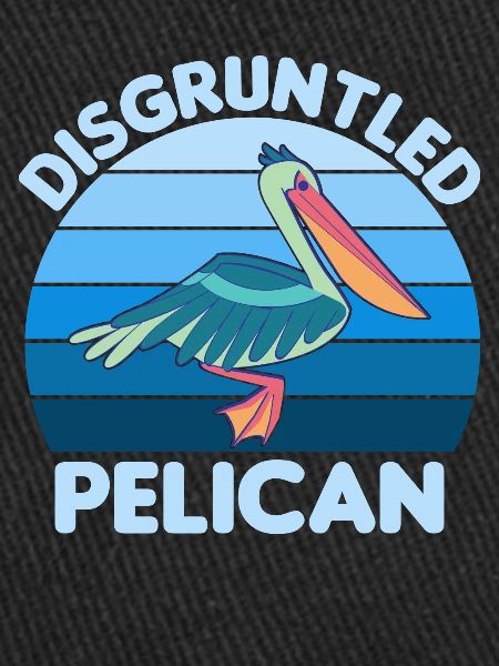 Pelican Pelicans Oiseaux Oiseaux Oiseaux