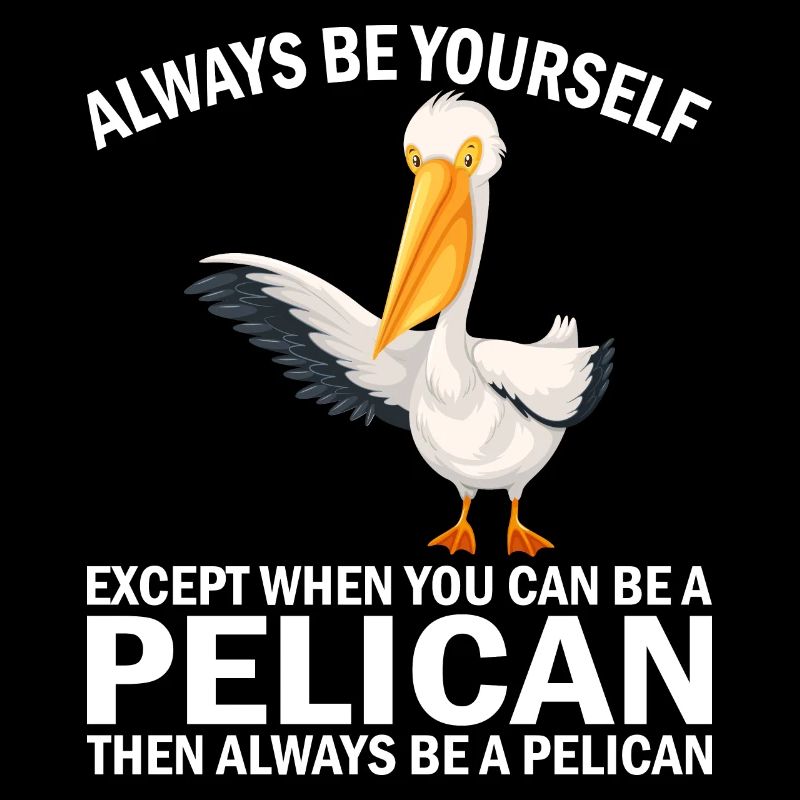 Pelican Pelicans Oiseaux Oiseaux Oiseaux