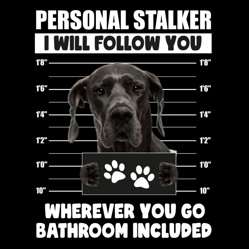 Personal Stalker Dog Black Great Dane Cane Darso