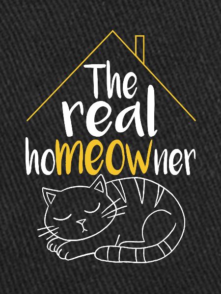 Le vrai chat propriétaire