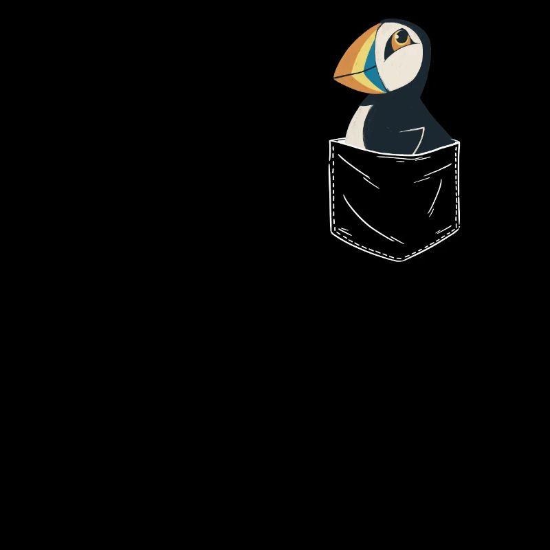 Puffin Seabirds Puffin