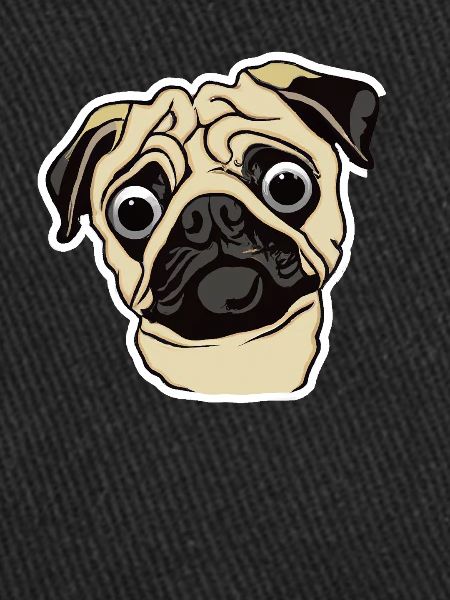 Surprised Pug dog lovers