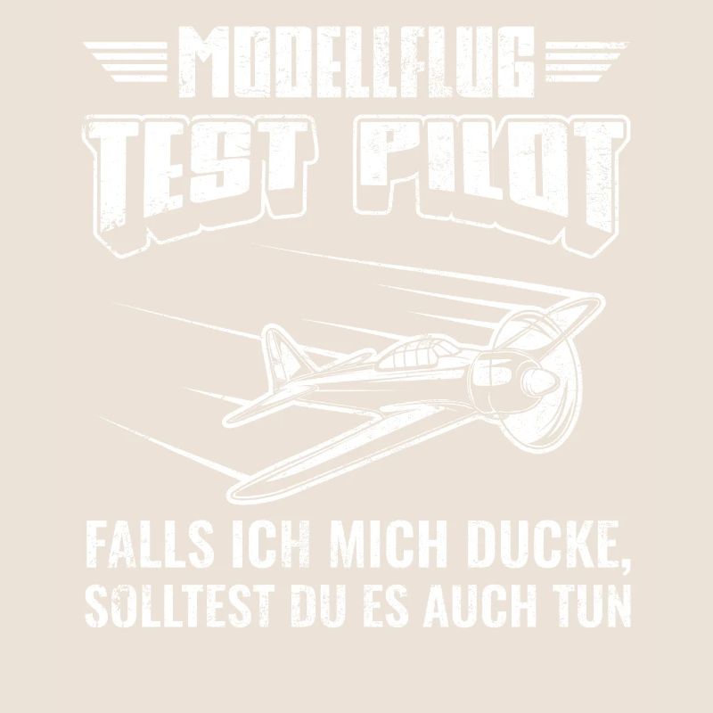Modellflugzeug Flieger Flugzeug Pilot Modellflug
