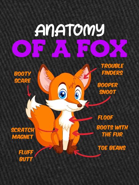 Anatomie d’un enfant Fuches Fuchs